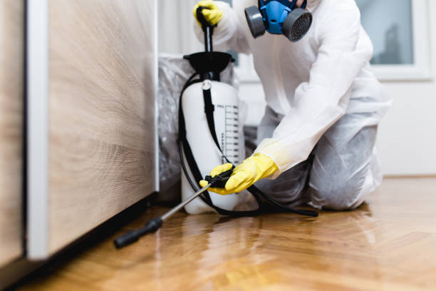 Best Rat Extermination Near Me  in Greenbriar, VA