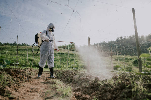 Best Local Pest Control Services  in Greenbriar, VA