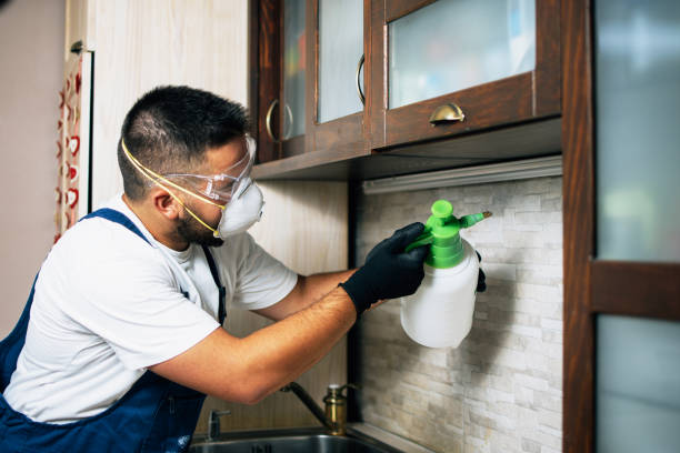 Professional Pest Control in Greenbriar, VA
