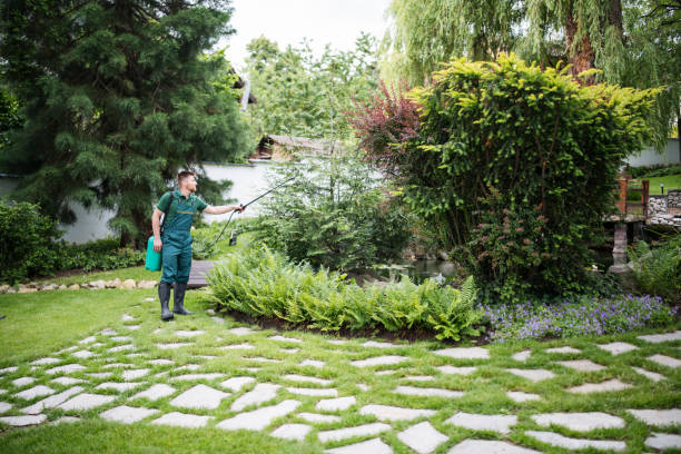 Best Emergency Pest Control  in Greenbriar, VA