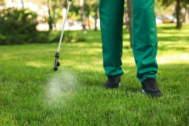 Professional Pest Control in Greenbriar, VA