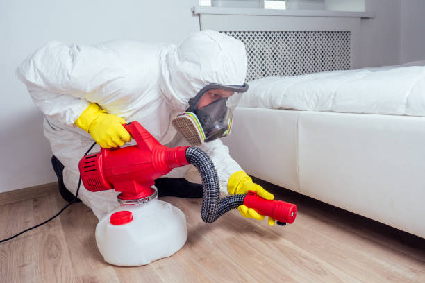 Wasp Removal Services in Greenbriar, VA