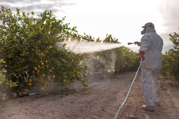 Pest Control for Restaurants in Greenbriar, VA