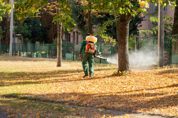 Best Emergency Pest Control  in Greenbriar, VA